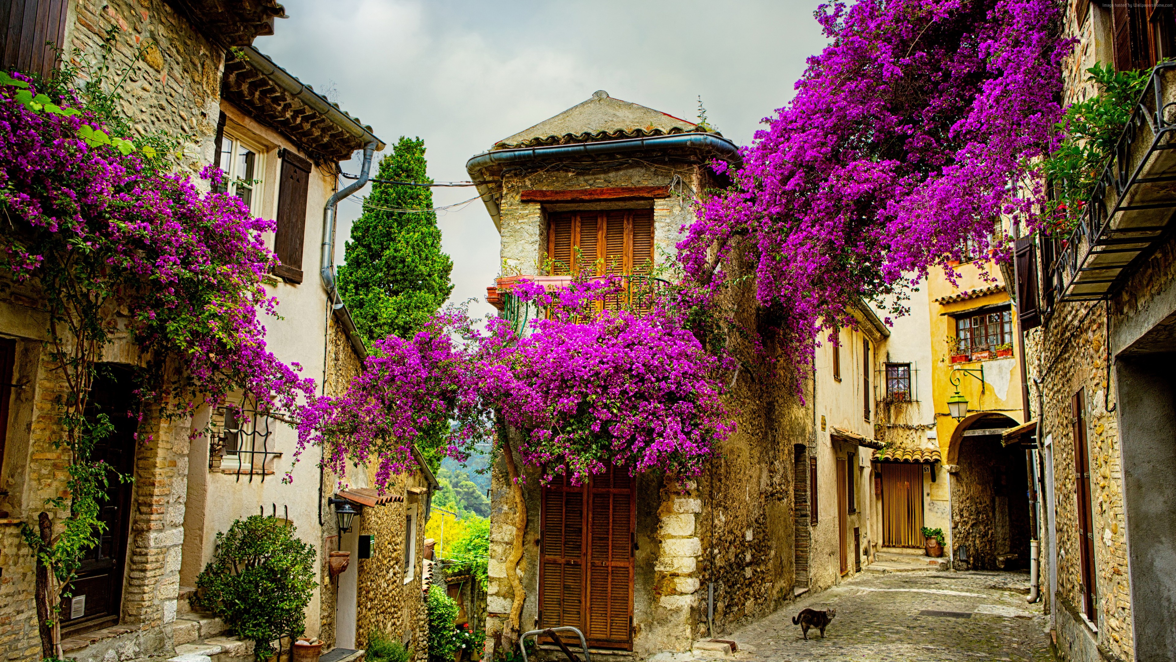 Wallpaper Provence, France, Tourism, Travel, Architecture